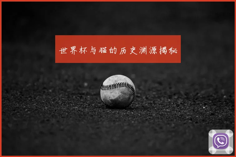 世界杯与猫的历史渊源揭秘