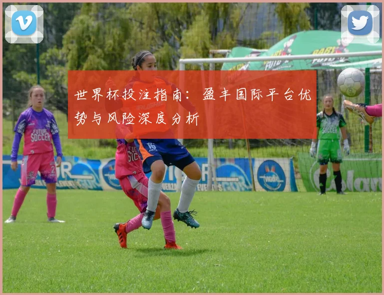 世界杯投注指南：盈丰国际平台优势与风险深度分析