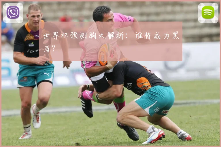 世界杯预测胸大解析：谁将成为黑马？