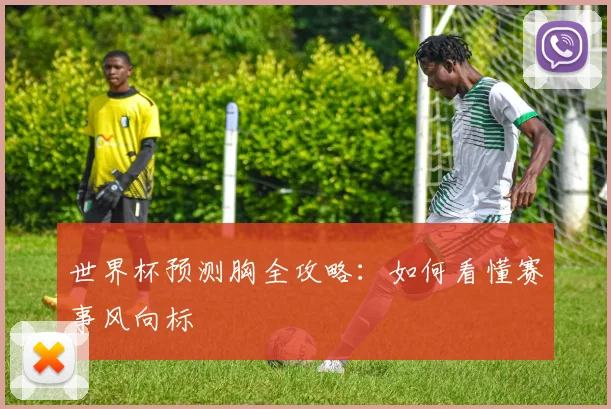 世界杯预测胸全攻略：如何看懂赛事风向标