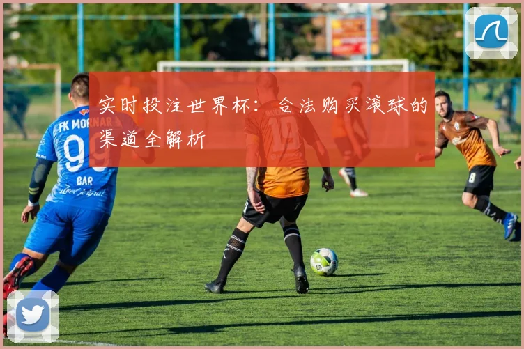 实时投注世界杯：合法购买滚球的渠道全解析
