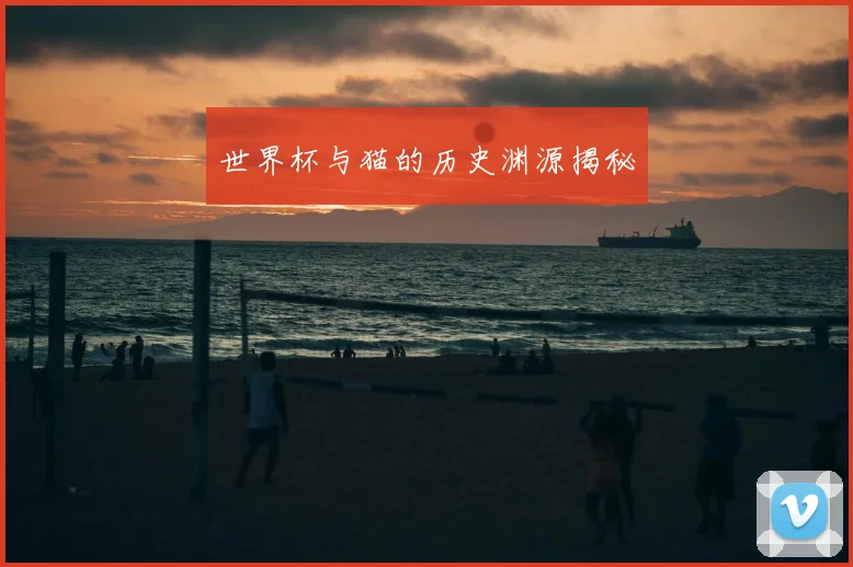 世界杯与猫的历史渊源揭秘
