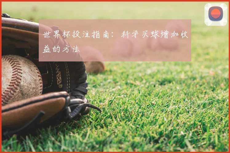 世界杯投注指南：科学买球增加收益的方法