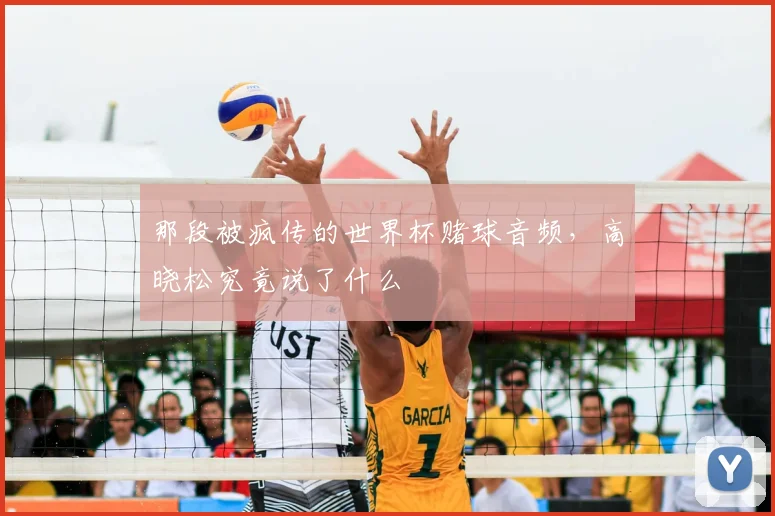 那段被疯传的世界杯赌球音频，高晓松究竟说了什么