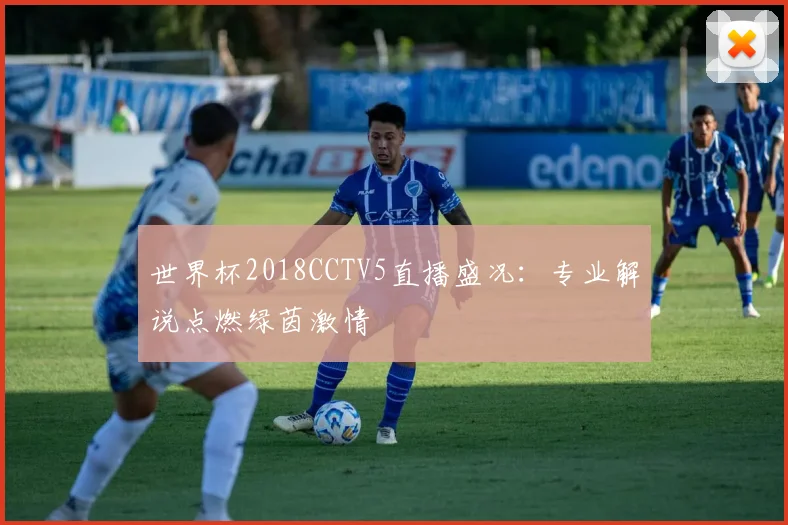 世界杯2018CCTV5直播盛况:专业解说点燃绿茵激情