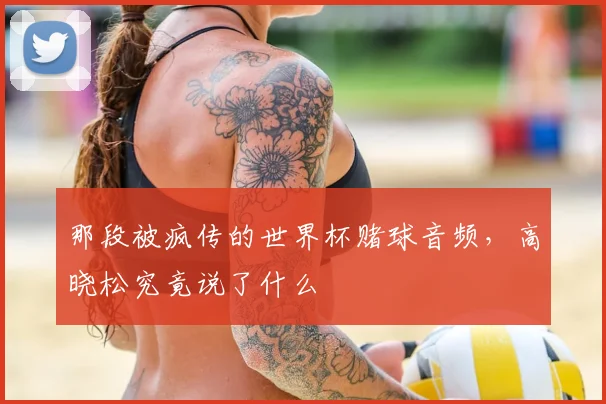 那段被疯传的世界杯赌球音频，高晓松究竟说了什么