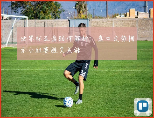 世界杯亚盘赔律解析:盘口走势揭示小组赛胜负关键