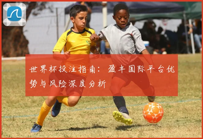 世界杯投注指南:盈丰国际平台优势与风险深度分析