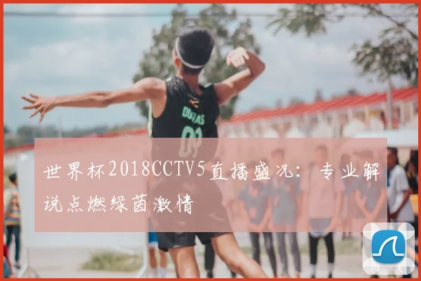 世界杯2018CCTV5直播盛况:专业解说点燃绿茵激情