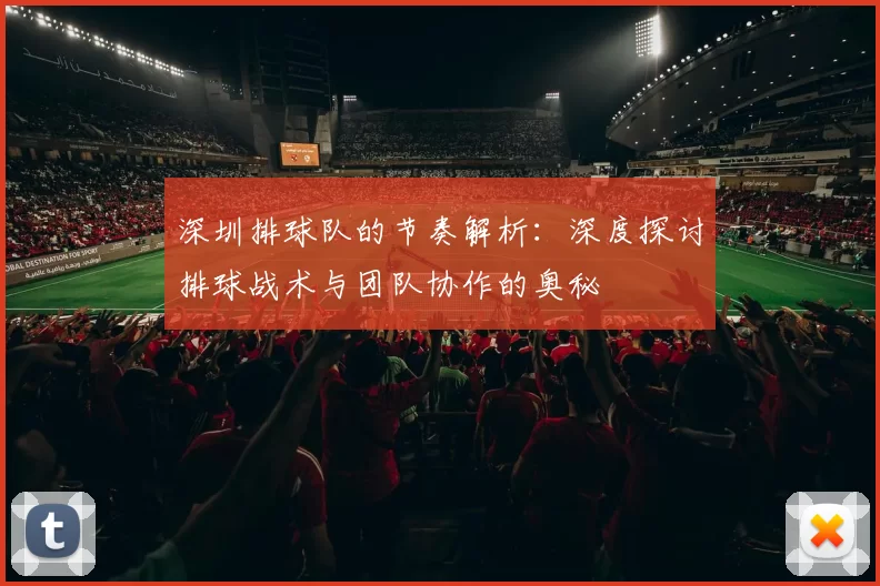 深圳排球队的节奏解析：深度探讨排球战术与团队协作的奥秘