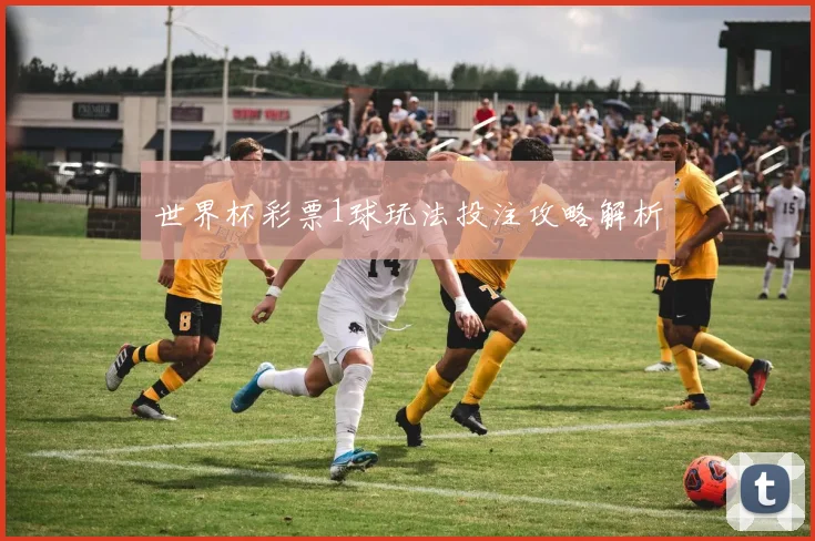 世界杯彩票1球玩法投注攻略解析