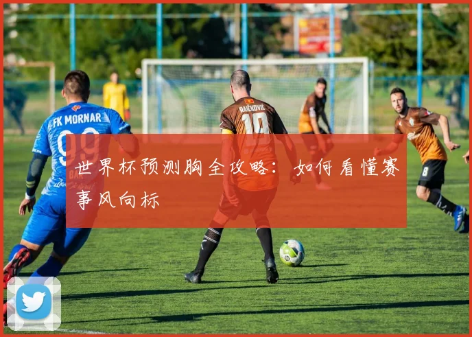 世界杯预测胸全攻略：如何看懂赛事风向标