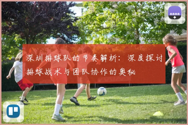 深圳排球队的节奏解析：深度探讨排球战术与团队协作的奥秘