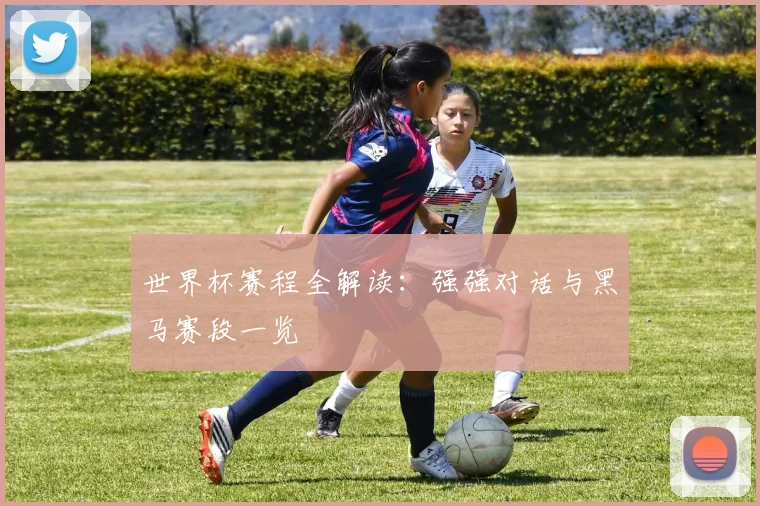 世界杯赛程全解读:强强对话与黑马赛段一览